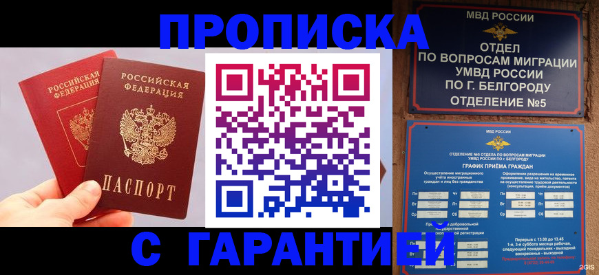 прописка 2025 в Красногорске